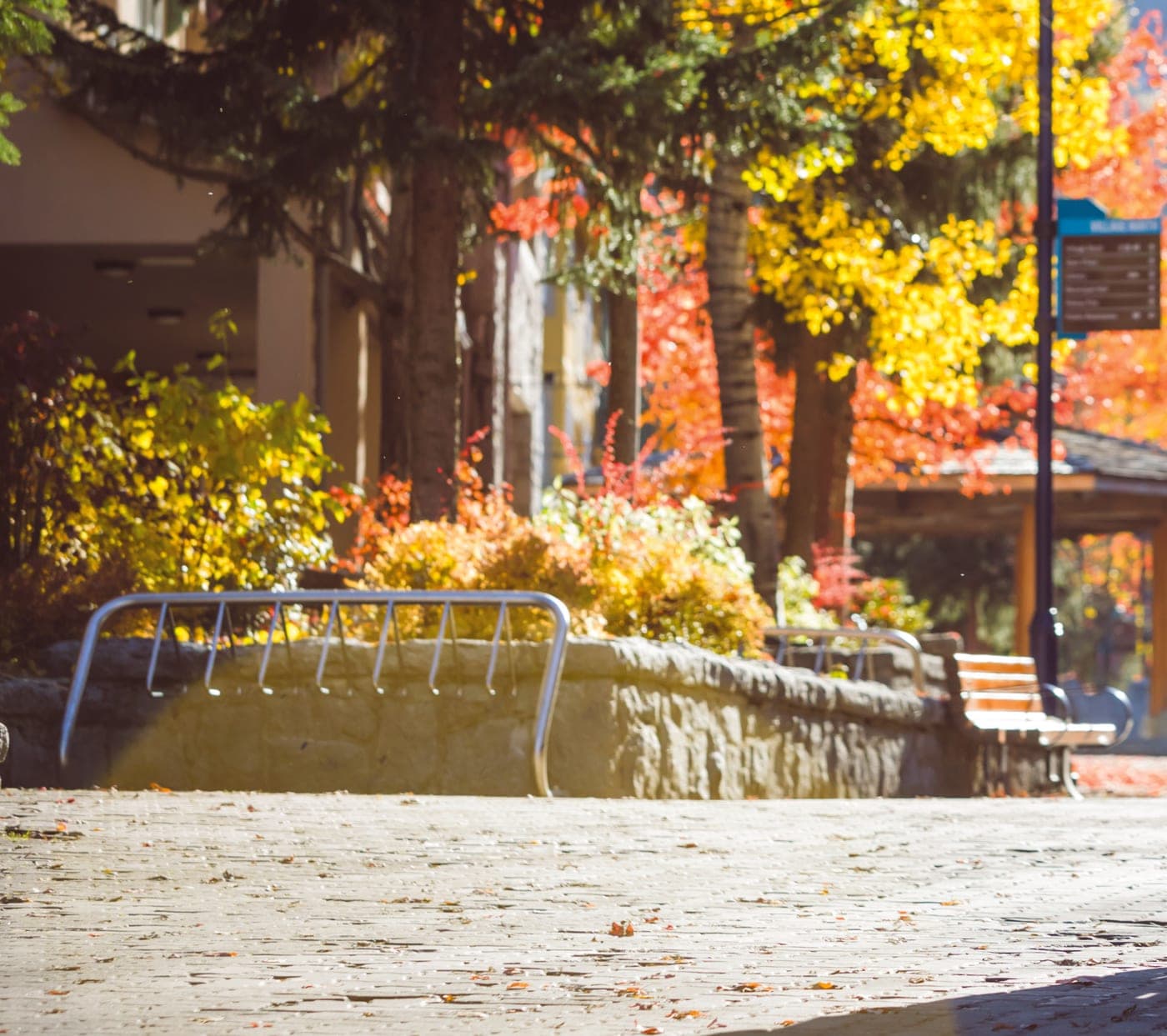 Autumn on Erin's Main Street